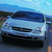 NitroLift Citroen C5 2001-2008 Tailgate / Boot Gas Strut