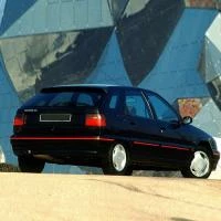 NitroLift Citroen ZX Spoiler 1991-1997 Tailgate / Boot Gas Strut